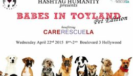 Babes in Toyland: Pet Edition