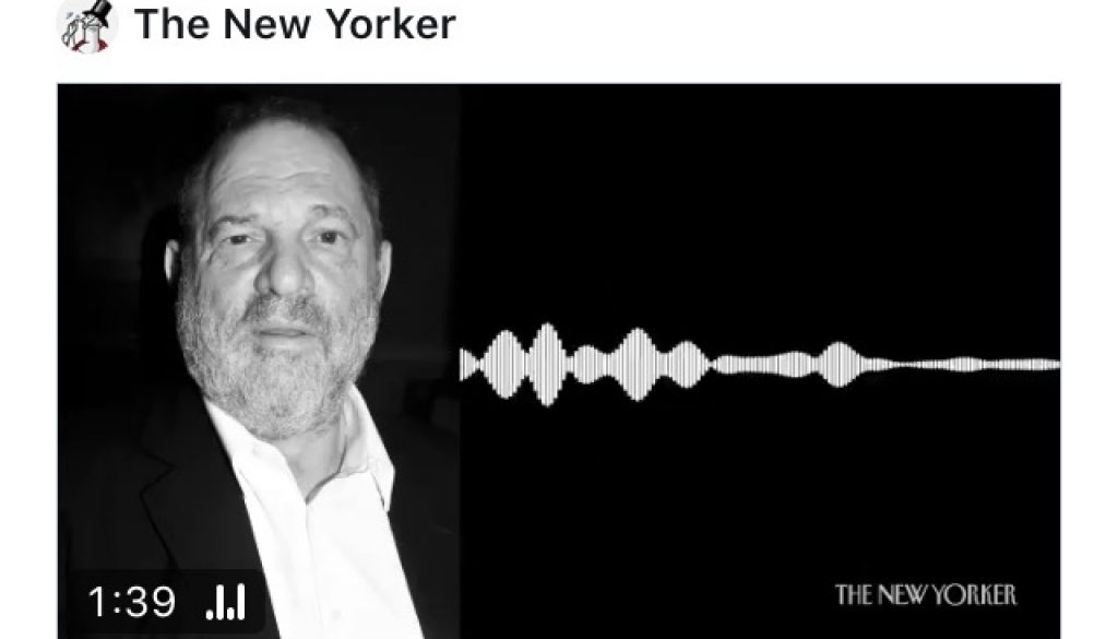 Weinstein Audio NYPD Sting