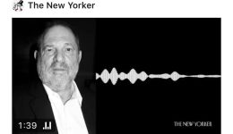 Weinstein Audio NYPD Sting
