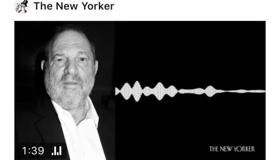 Weinstein Audio NYPD Sting