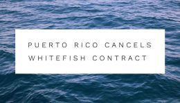 Puerto Rico Whitefish Contract Canceled