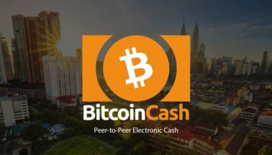 Donate BCH