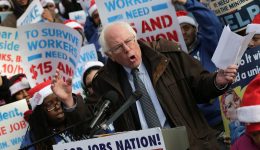 Sanders campaign workers