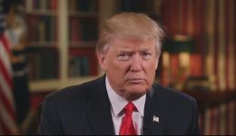 POTUS Trump USA flag pin