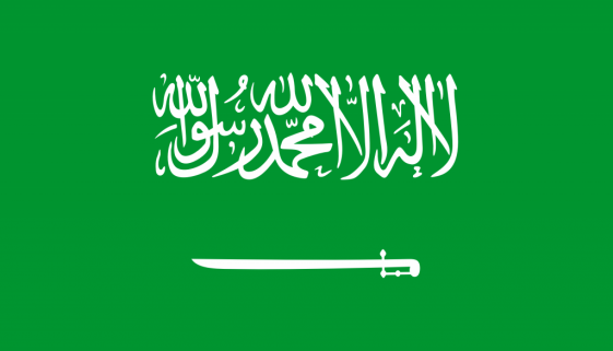 green flag with sword