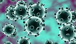 coronavirus
