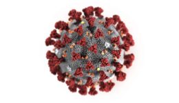 Coronavirus 2020