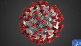 New coronavirus strain