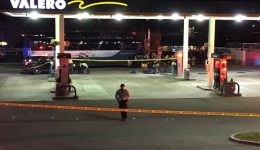 Greyhound shooting in California