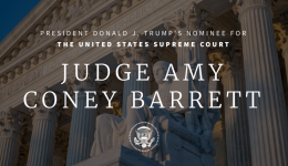 Trump's Supreme Court nominee