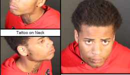 James Howard Jackson Gaga Dogwalker shooter
