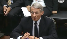 Fauci testifying