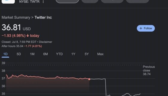 Twitter stock price after Elon pulled out