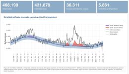 Spain deaths due to COVID, heat, etc