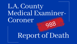 Los Angeles County suicide