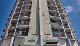 Hotel Angeleno swimming pool