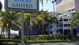 South Bay Galleria suicide