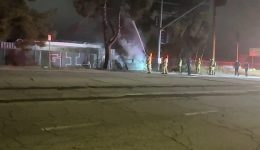Forest Lawn Drive car accident